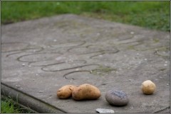 Kartoffeln an Friedrichs Grab